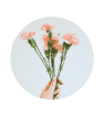 24/7 Support and Advice