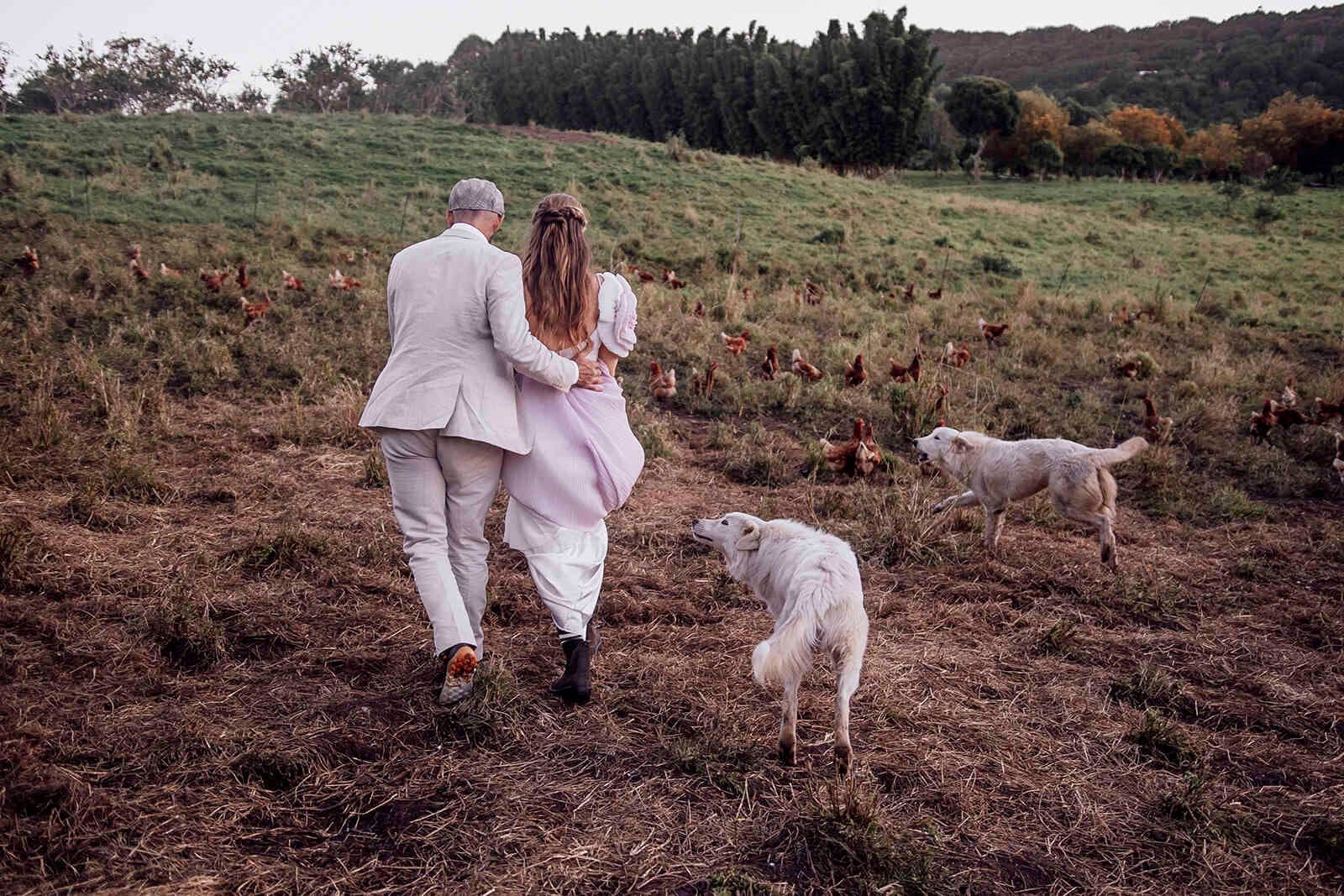 bride_groom_walking_away_farm_field_chickens_dogs_dbebf60bc8